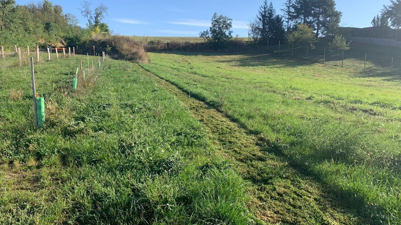 Projektmarathon 2024